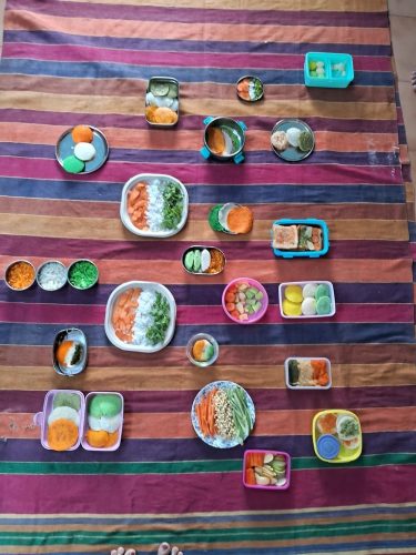 Tricolour tiffin activity